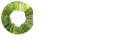 logo RIV circular-principal-negativo